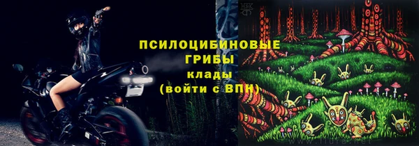 первитин Няндома