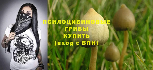 тгк Нягань