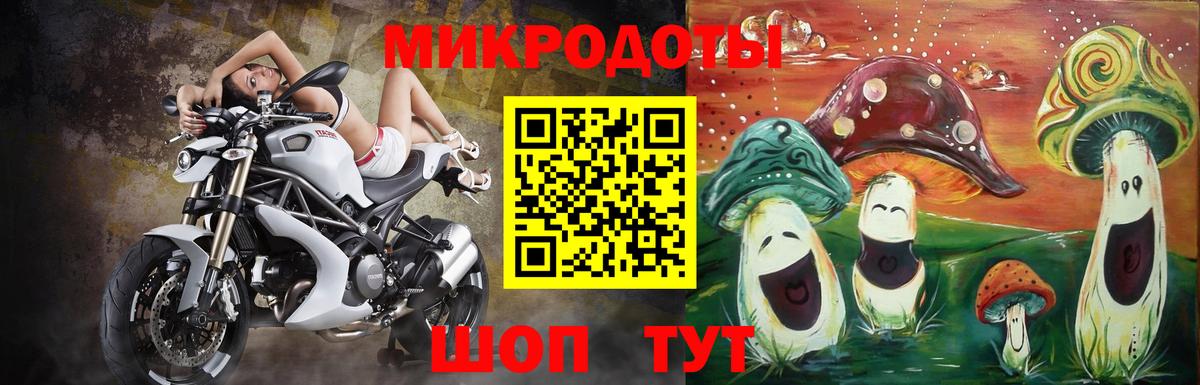 Псилоцибиновые грибы мухоморы  Бахчисарай  Галлюциногенные грибы прущие грибы 